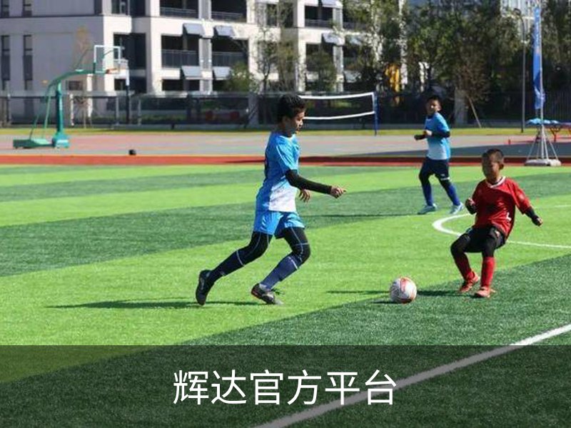 辉达官方平台概况